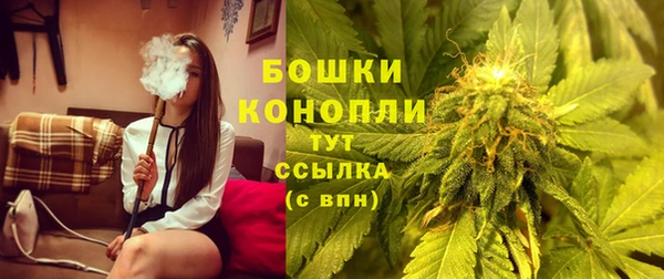 твердый Осташков
